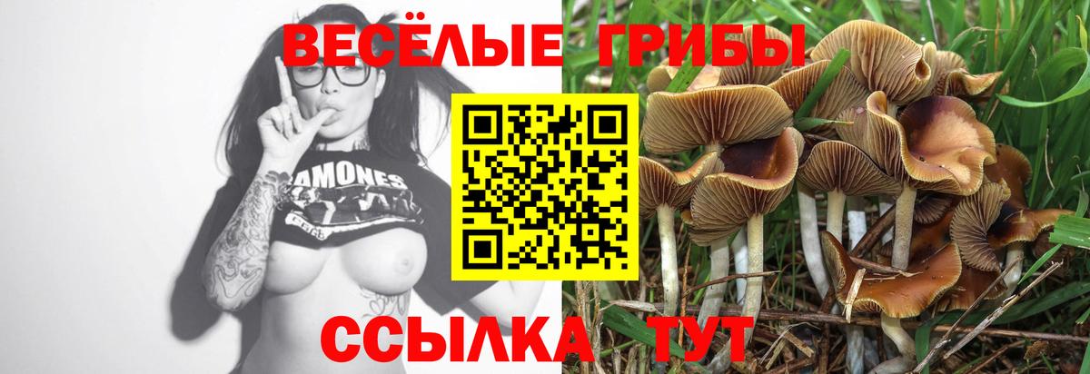 Галлюциногенные грибы мицелий Сургут